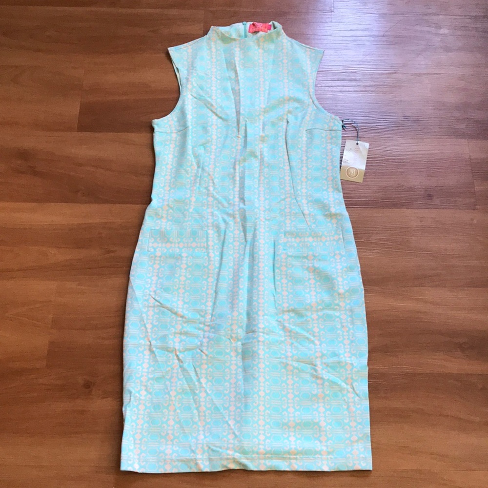 NWT Lissa Mar Dress. Size Large.